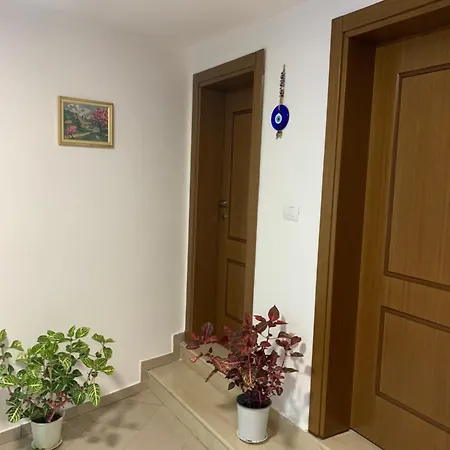 Zverku - 1873 Guest house